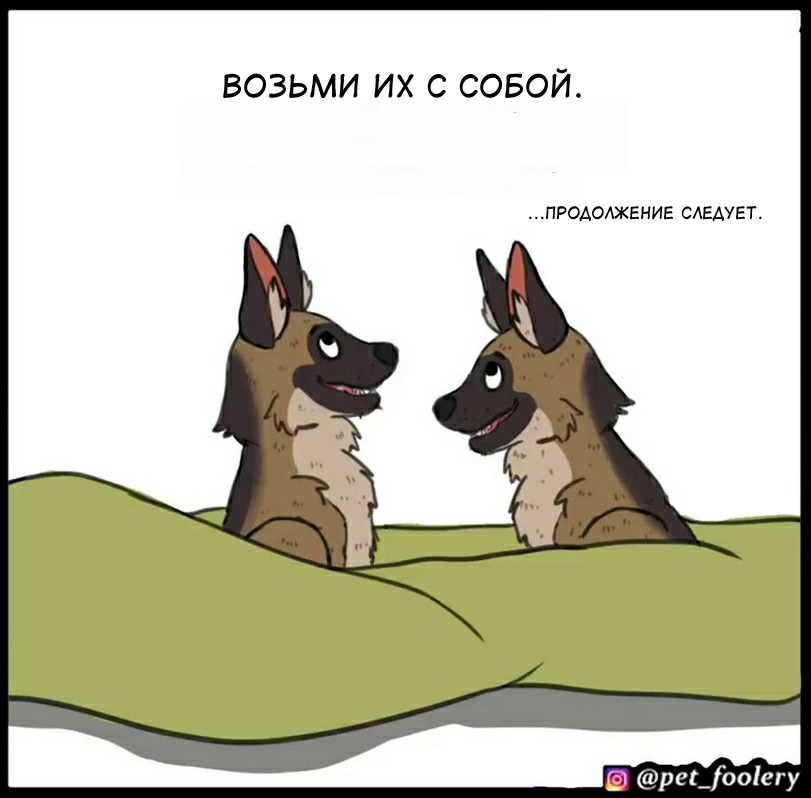 Кракен нет