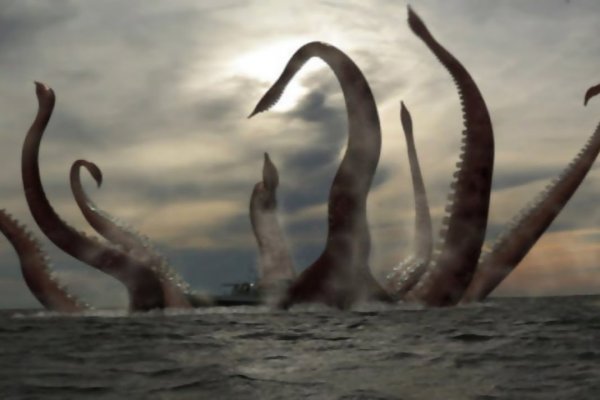 Kraken что это за магазин