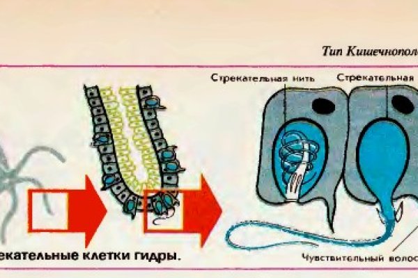 Кракен правила площадки