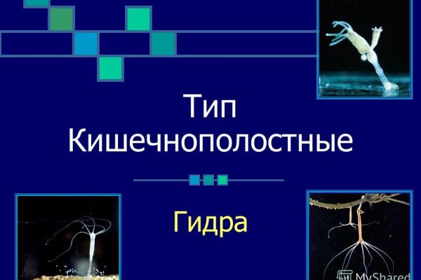 Какая сейчас ссылка на кракен