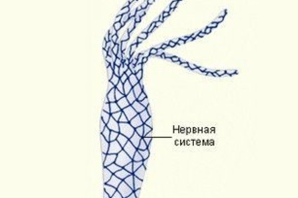 Кракен сообщество