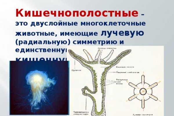 Даркнет ссылка